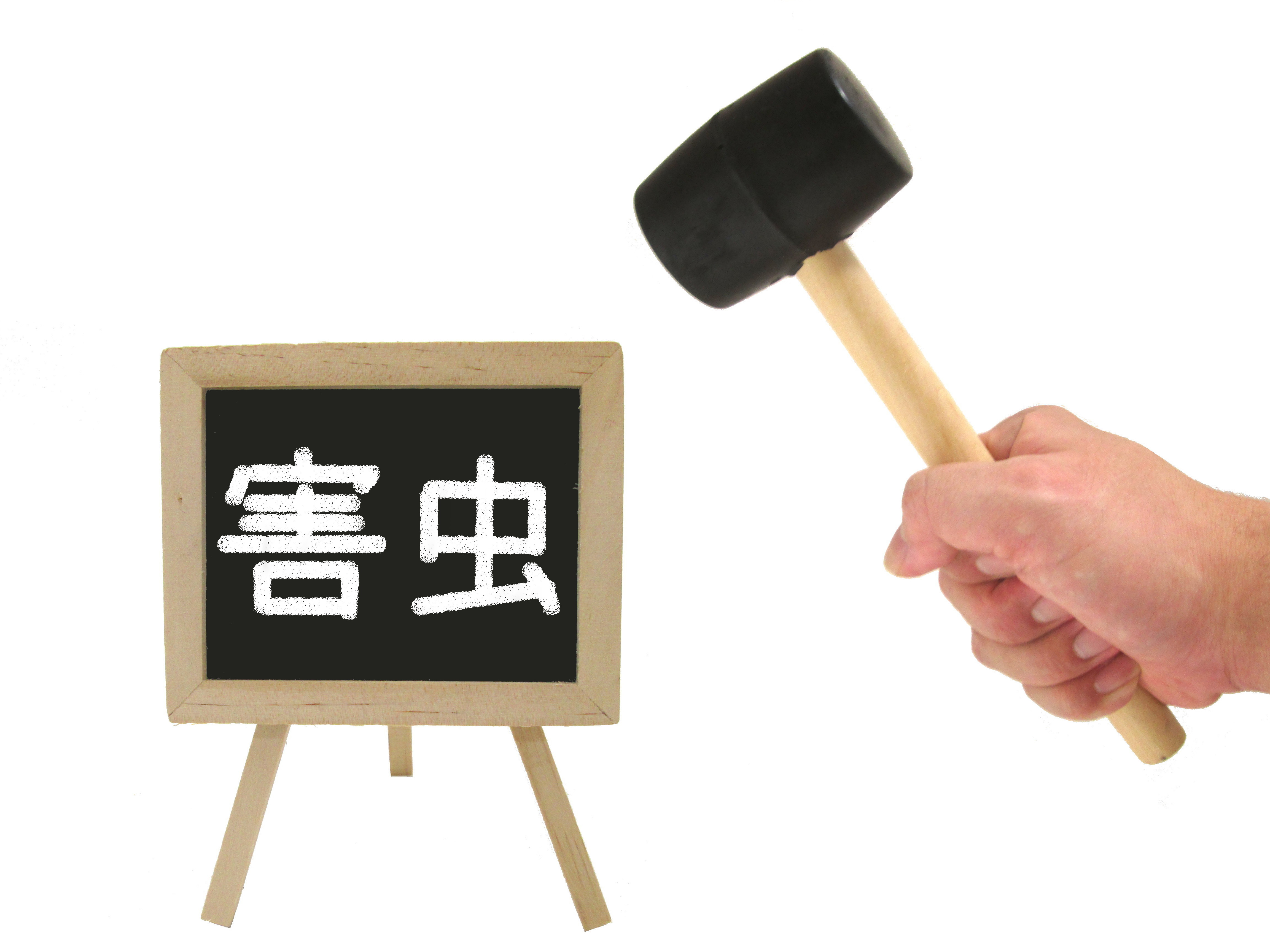 今すぐ行動を起こそう！